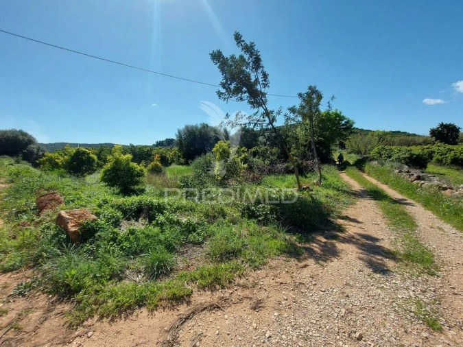 Terreno para Venda em Silves Foto 9