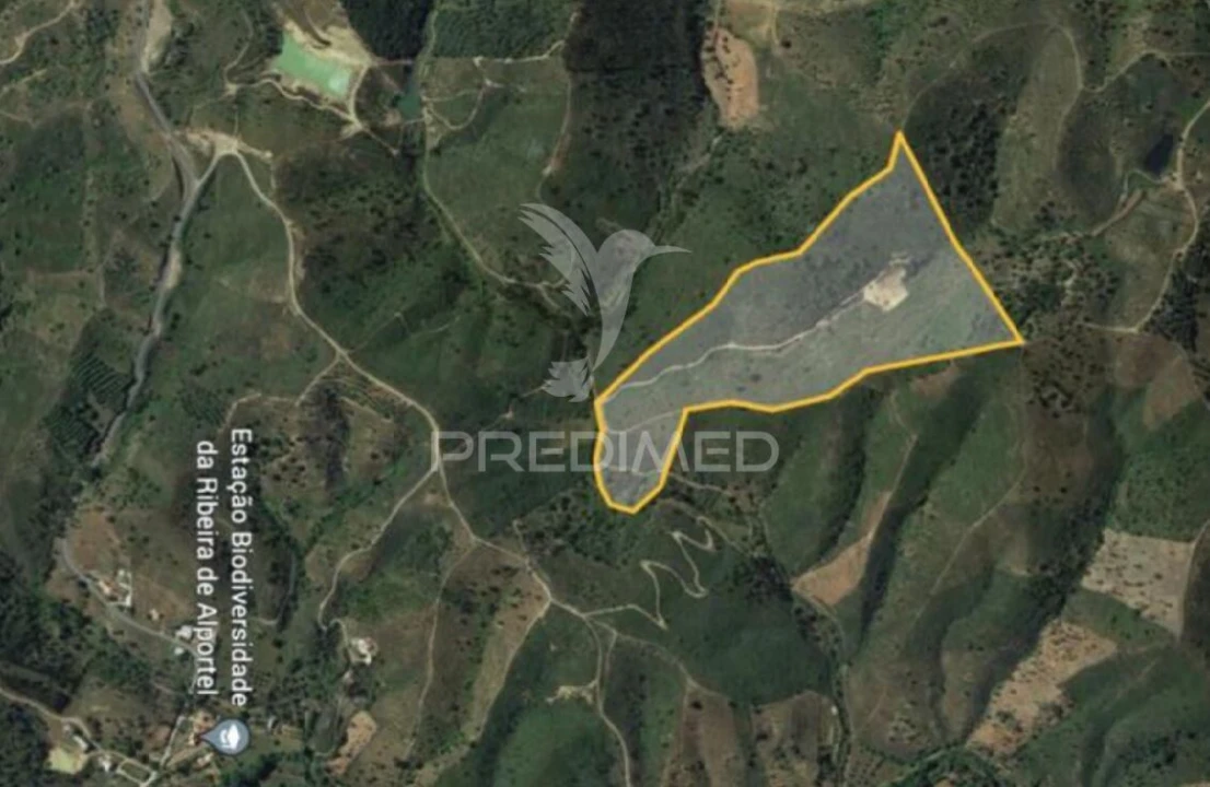 Terreno para Venda em São Brás de Alportel Foto 1