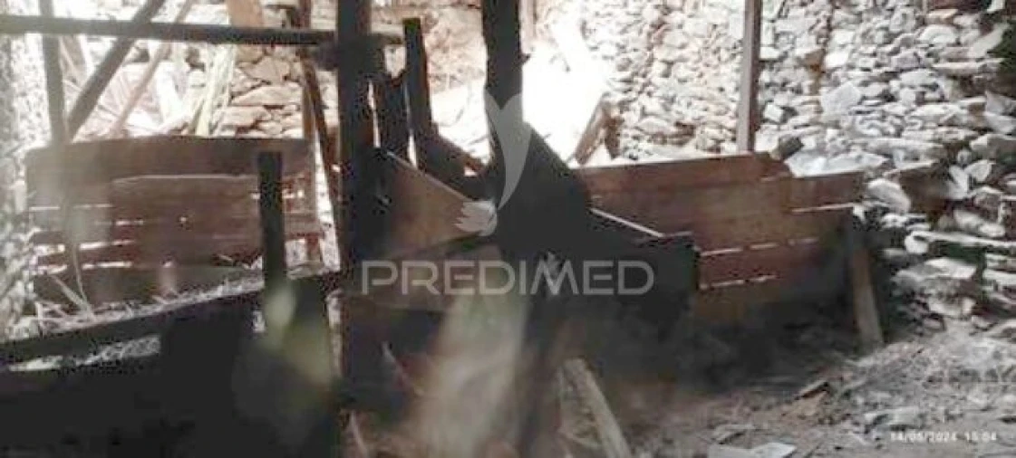 Moradia T2 para Venda em Abaças Foto 5