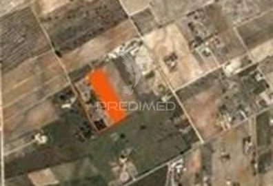 Terreno para Venda em Palmela