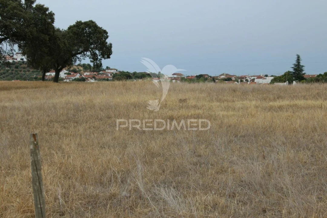 Terreno para Venda em Terena (São Pedro) Foto 2