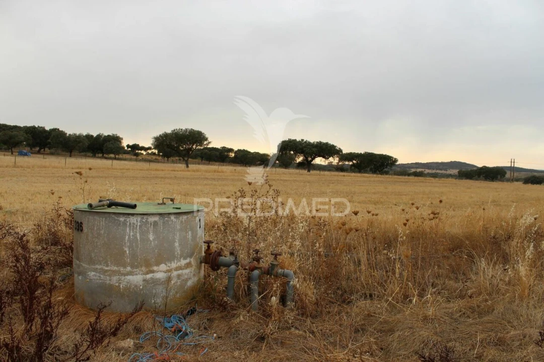 Terreno para Venda em Terena (São Pedro) Foto 10