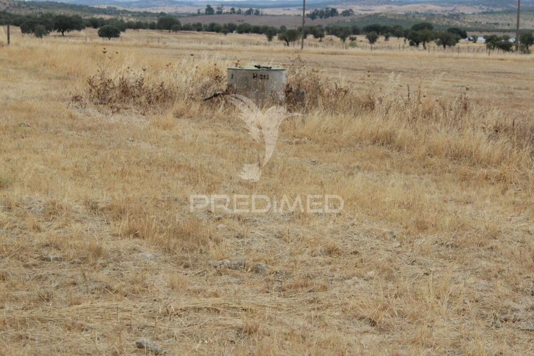 Terreno para Venda em Terena (São Pedro) Foto 8