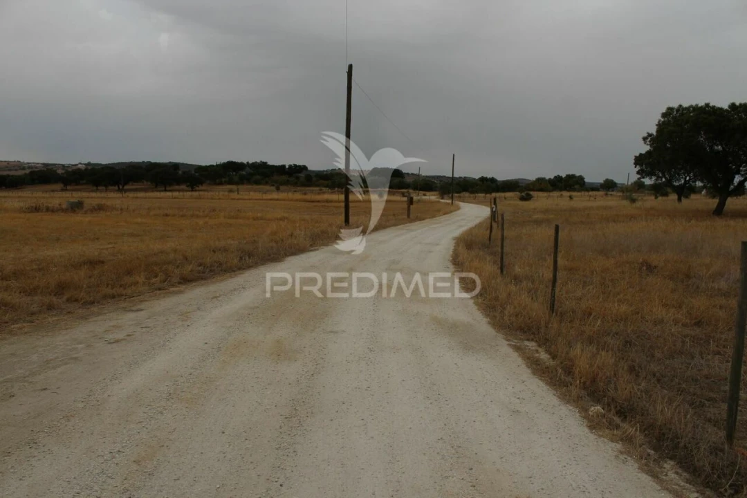 Terreno para Venda em Terena (São Pedro) Foto 14