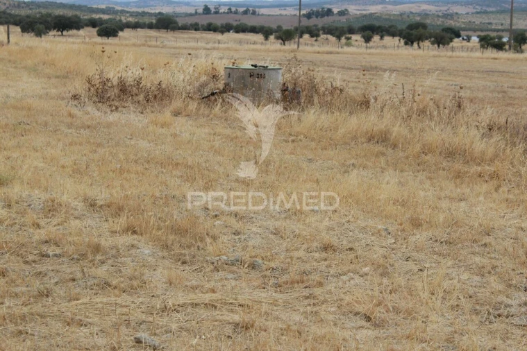 Terreno para Venda em Terena (São Pedro) Foto 8