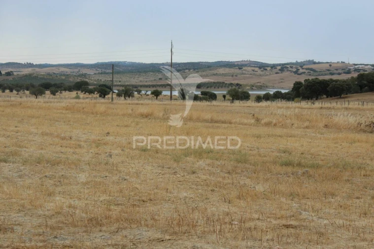 Terreno para Venda em Terena (São Pedro) Foto 6
