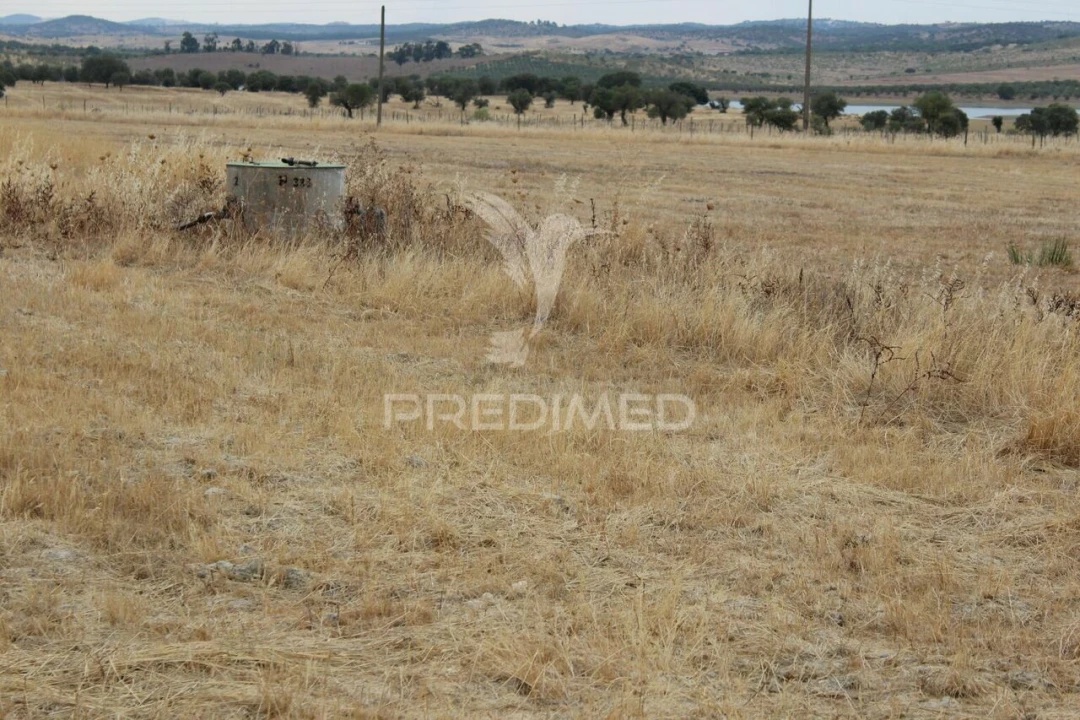 Terreno para Venda em Terena (São Pedro) Foto 7