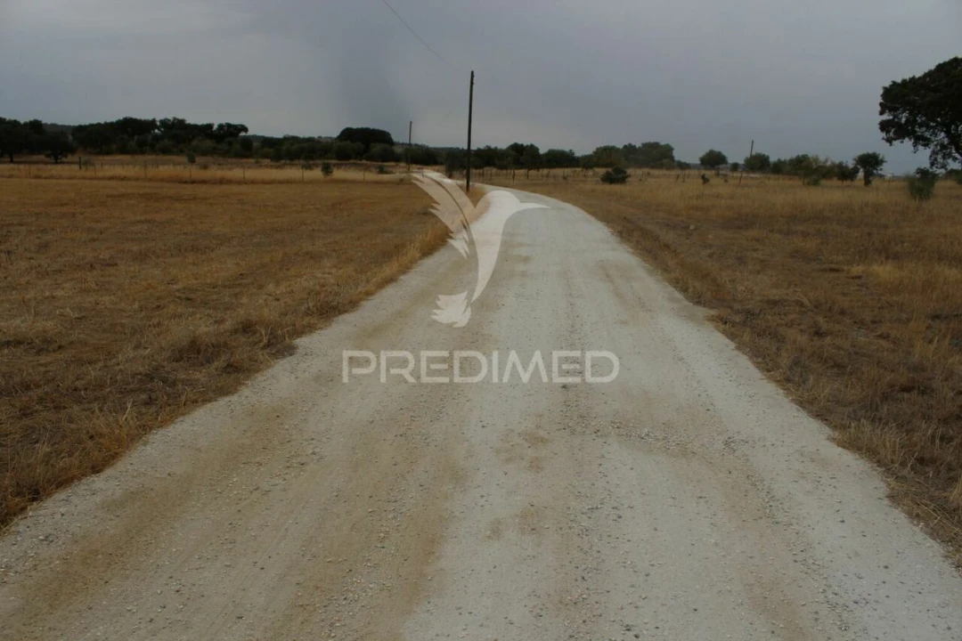 Terreno para Venda em Terena (São Pedro) Foto 11