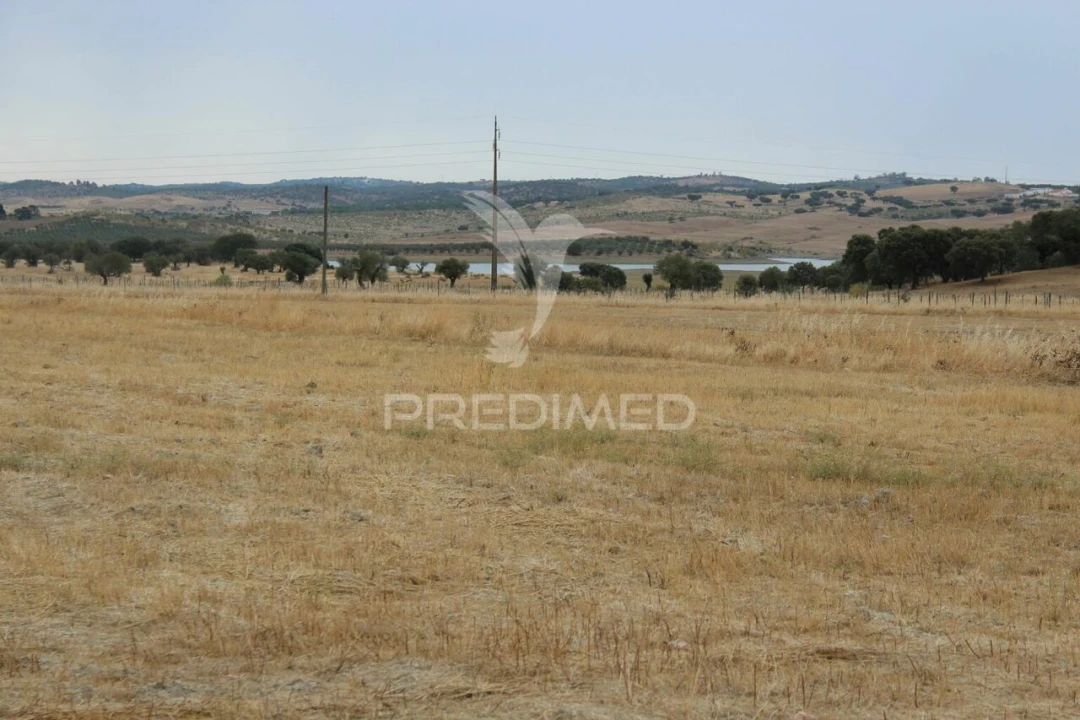 Terreno para Venda em Terena (São Pedro) Foto 6