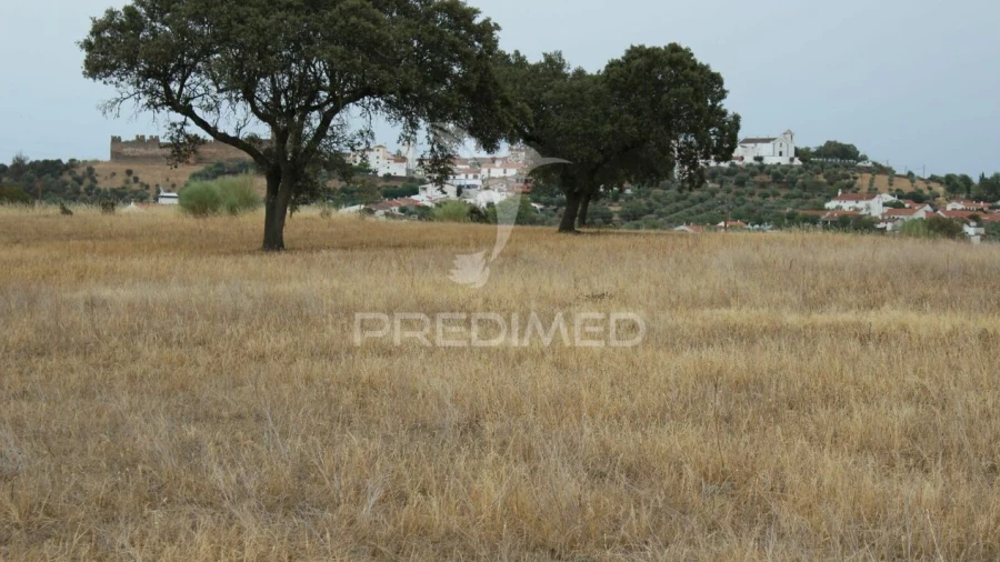Terreno para Venda em Terena (São Pedro)