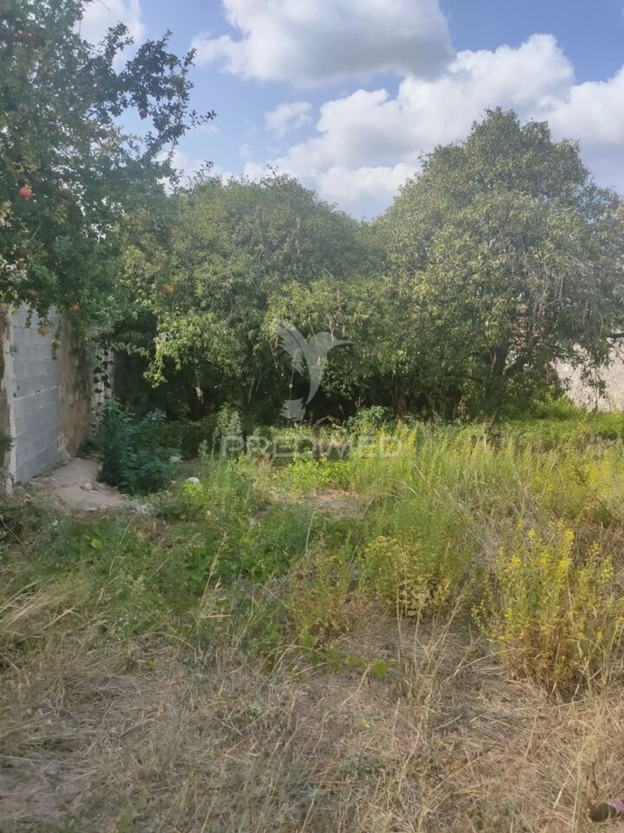 Terreno para Venda em Amiais de Baixo Foto 6