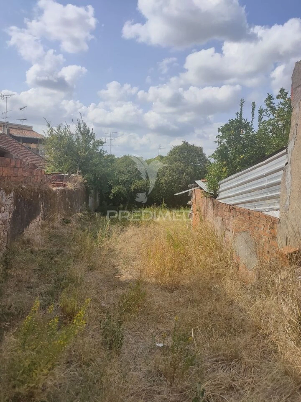 Terreno para Venda em Amiais de Baixo Foto 5