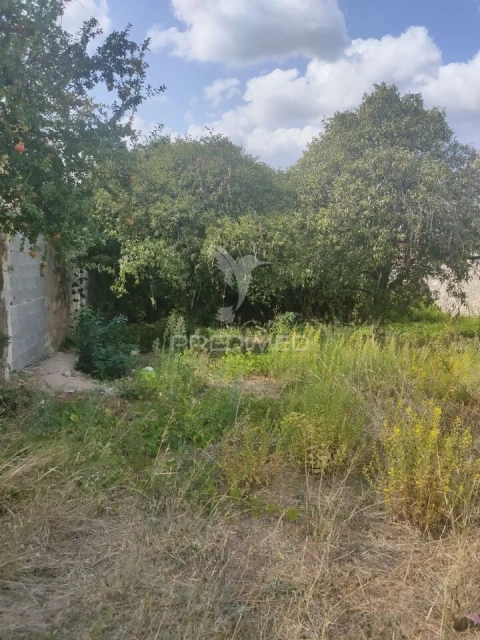 Terreno para Venda em Amiais de Baixo