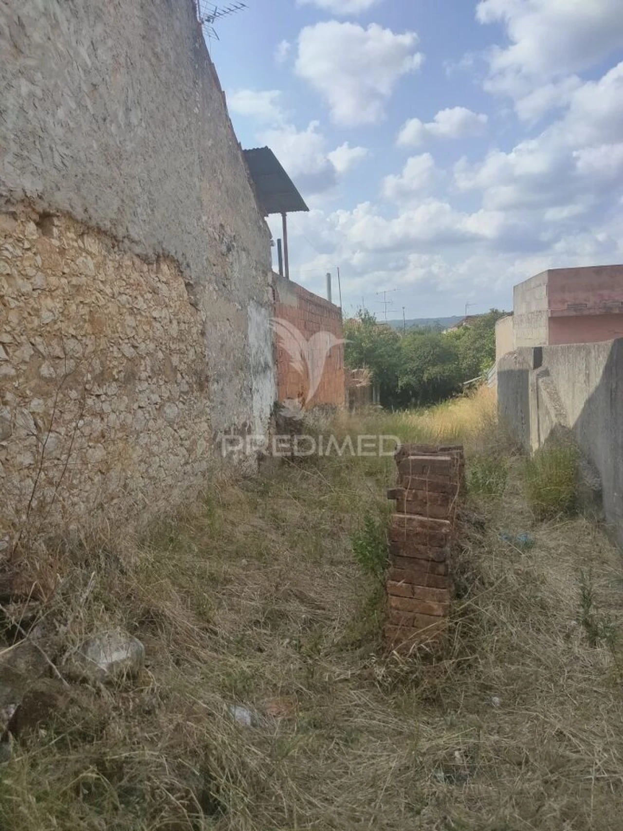 Terreno para Venda em Amiais de Baixo Foto 3