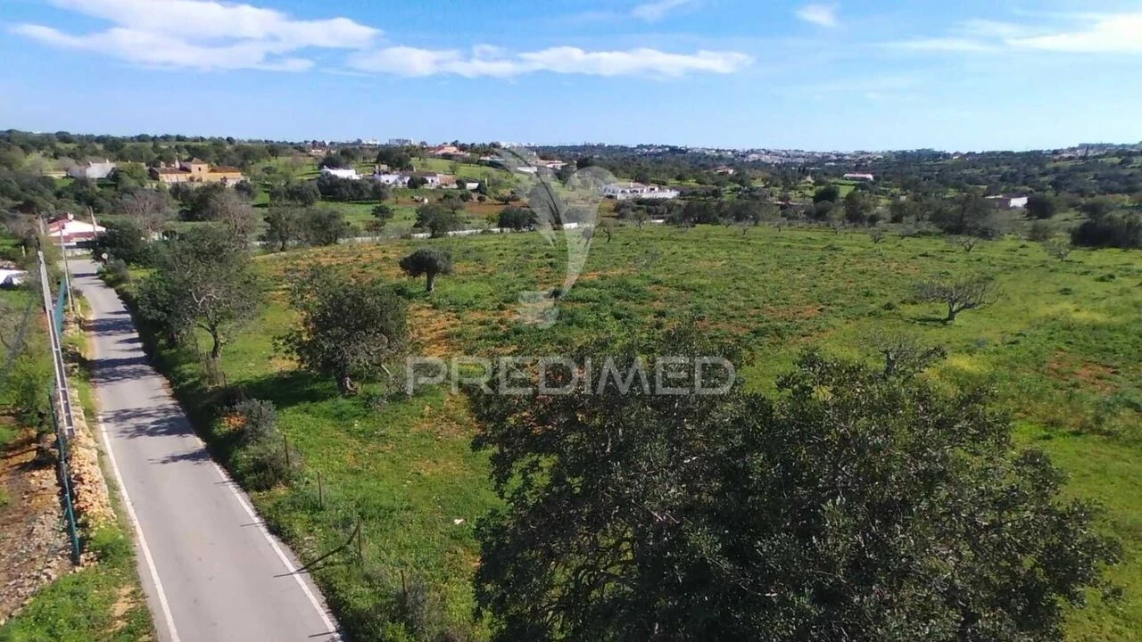 Terreno para Venda em Guia Foto 2