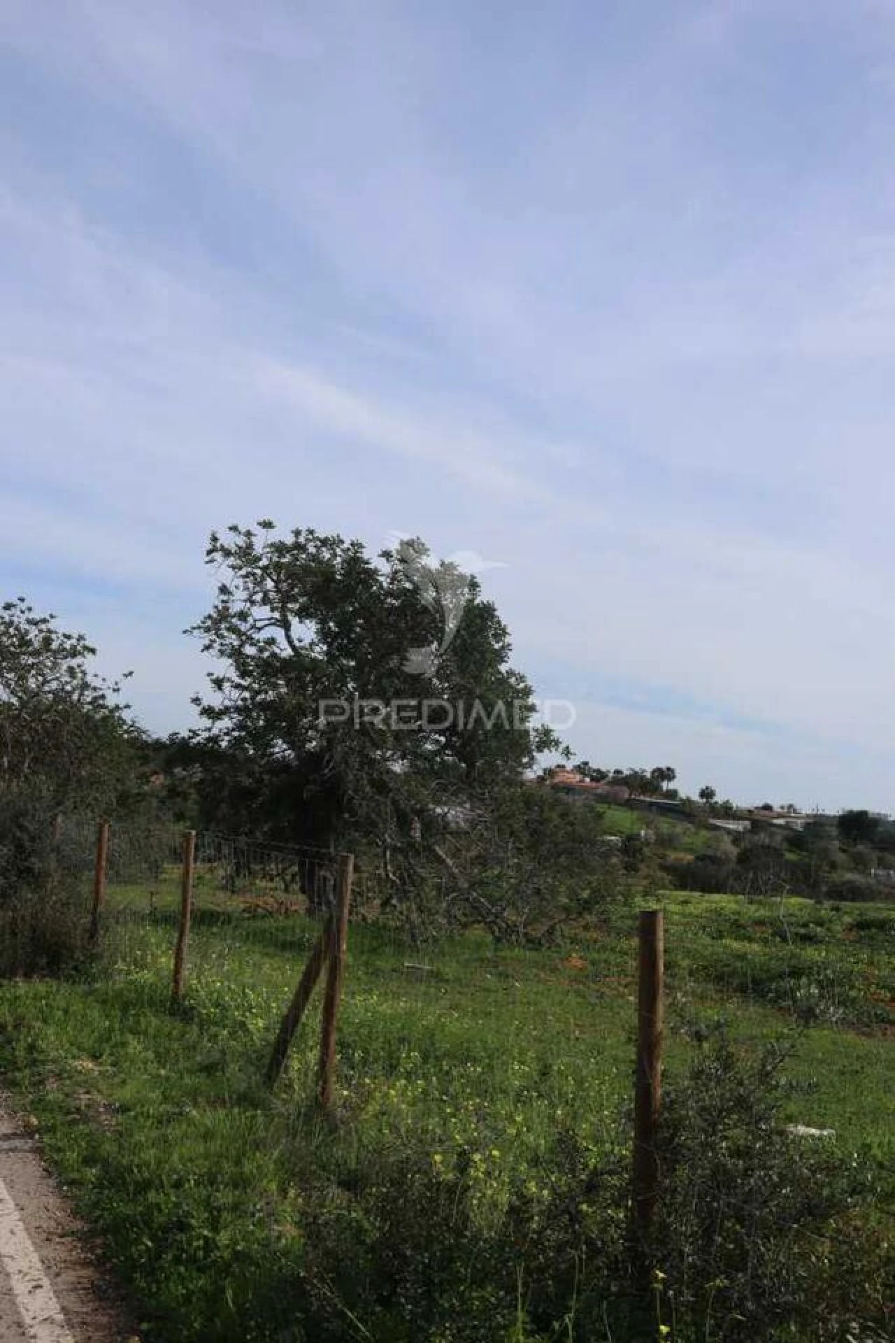 Terreno para Venda em Guia Foto 14