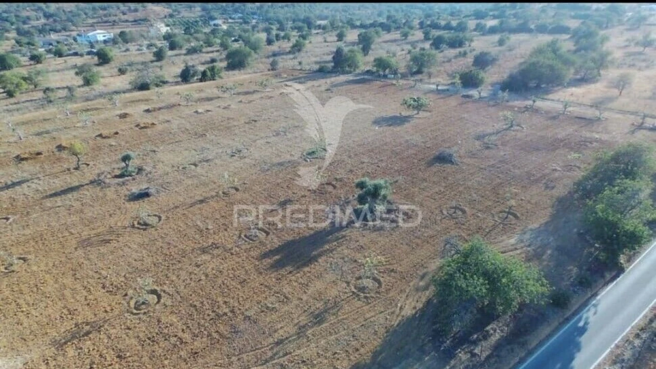 Terreno para Venda em Guia Foto 5