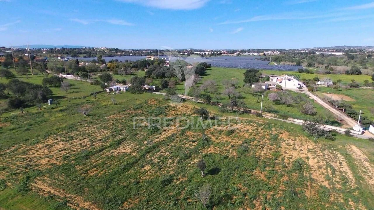 Terreno para Venda em Guia Foto 4