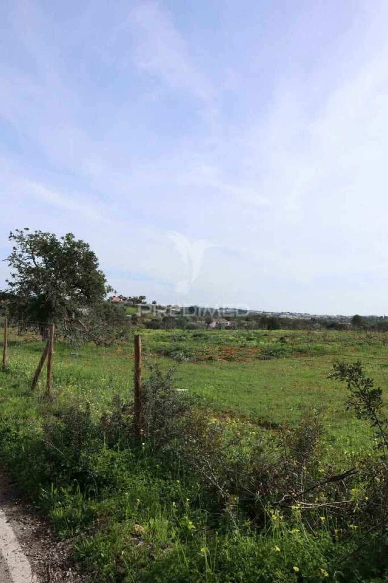 Terreno para Venda em Guia Foto 8