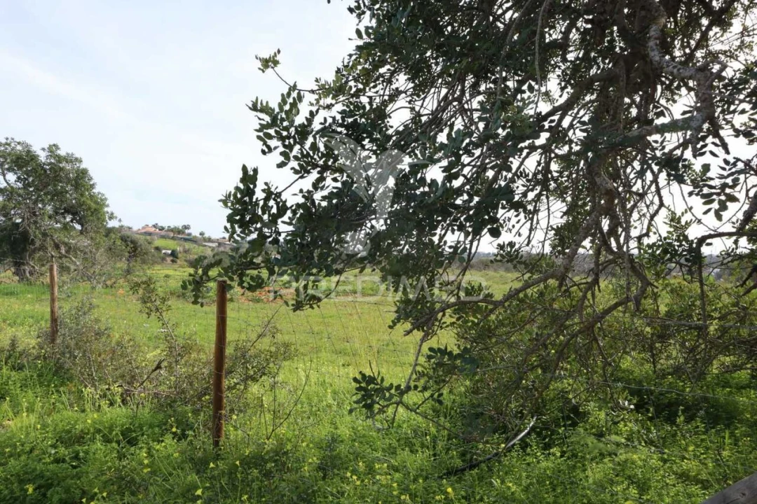 Terreno para Venda em Guia Foto 7