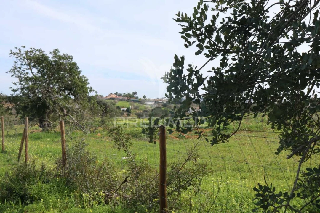 Terreno para Venda em Guia Foto 15