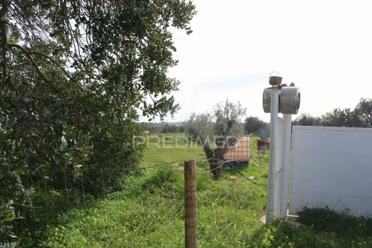 Terreno para Venda em Guia Foto 11