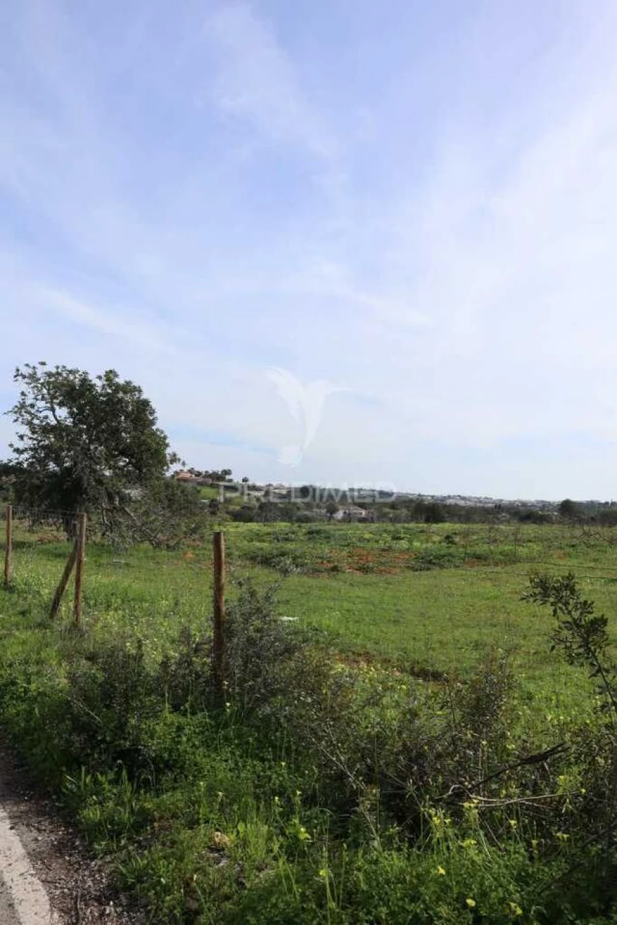 Terreno para Venda em Guia Foto 8