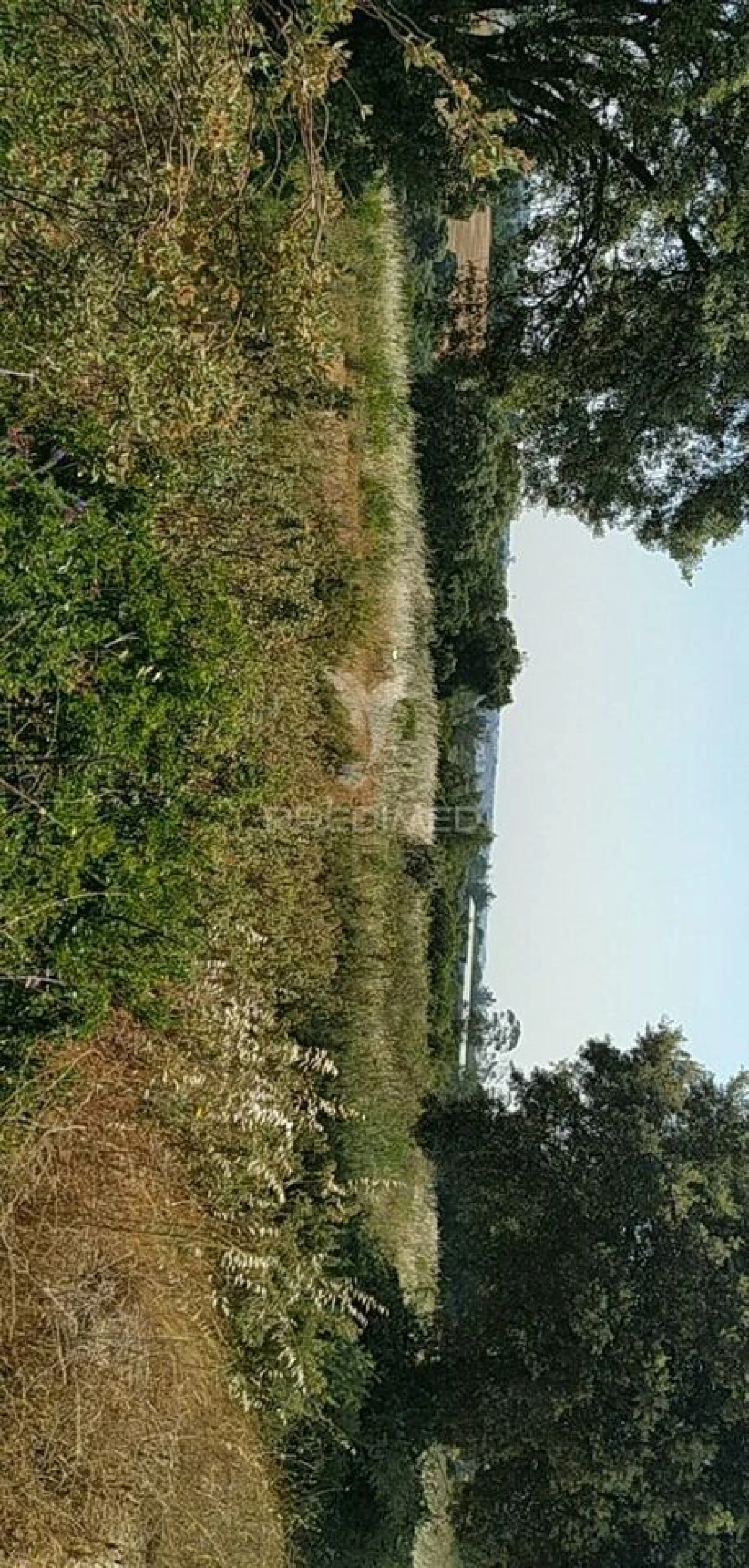 Terreno para Venda em Abitureiras Foto 9