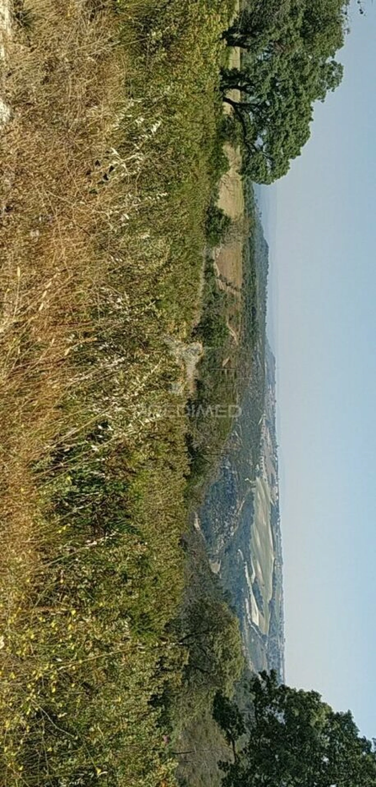 Terreno para Venda em Abitureiras Foto 10