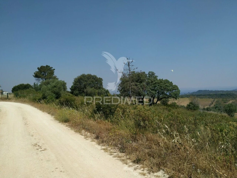 Terreno para Venda em Abitureiras Foto 6