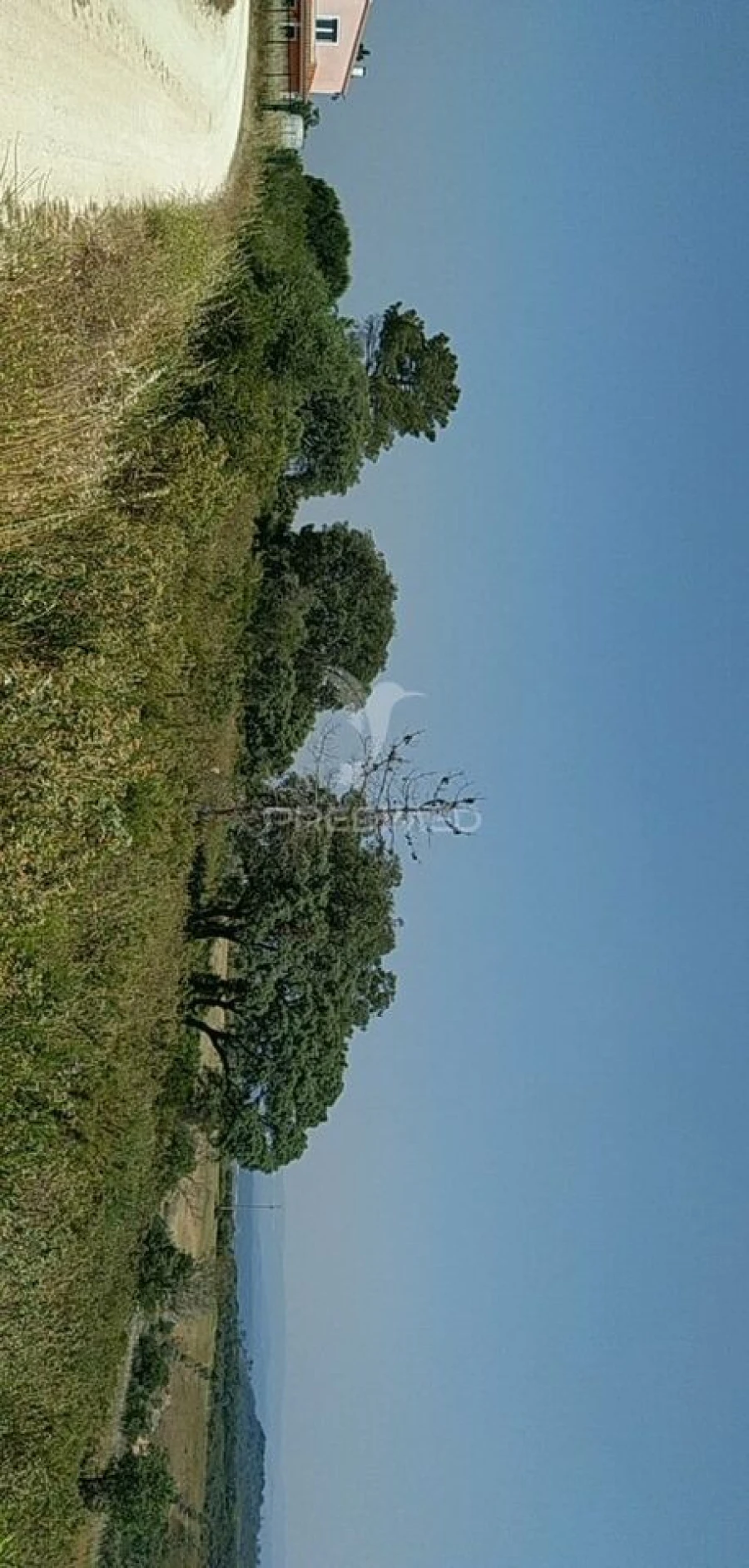 Terreno para Venda em Abitureiras Foto 8