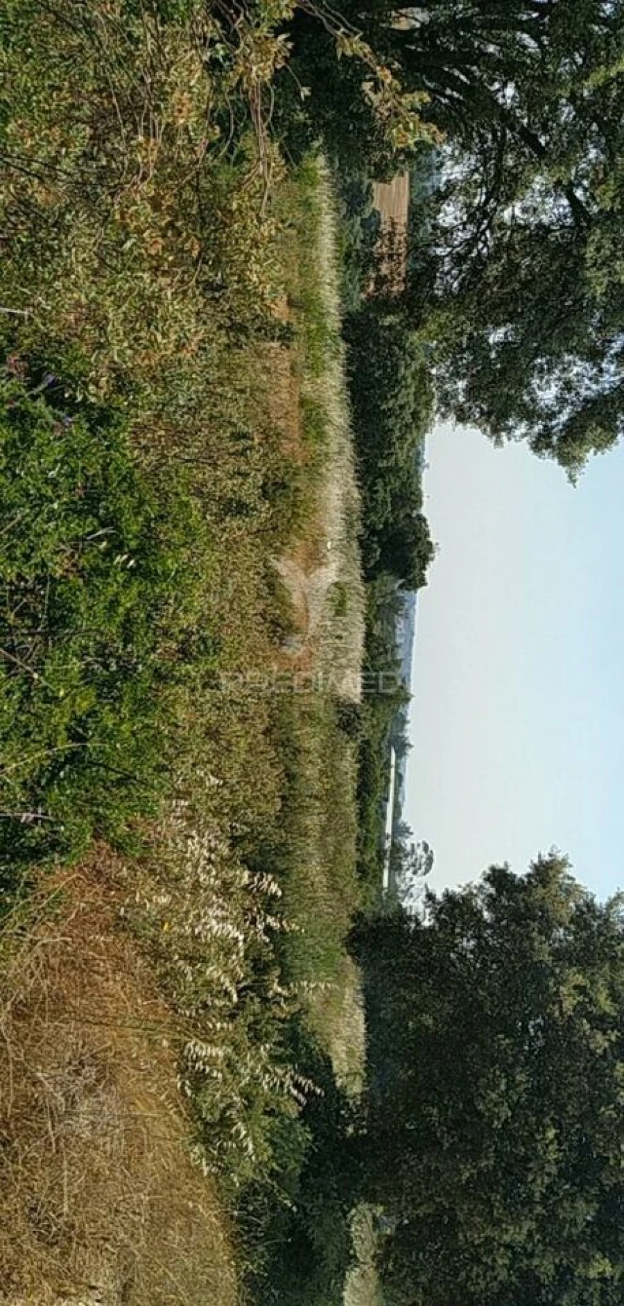 Terreno para Venda em Abitureiras Foto 9