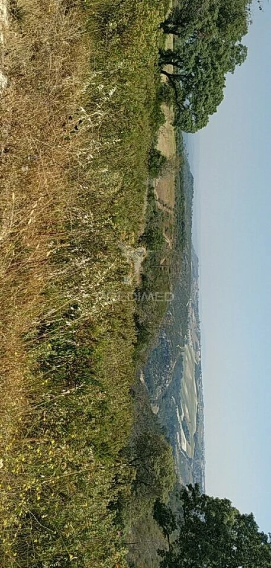 Terreno para Venda em Abitureiras Foto 10