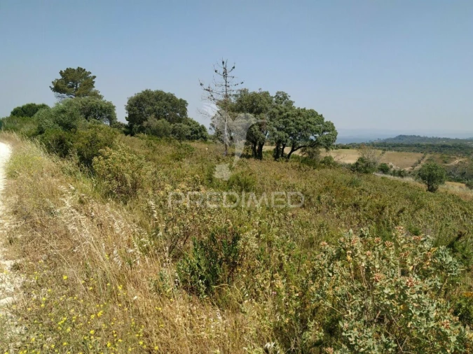 Terreno para Venda em Abitureiras Foto 7