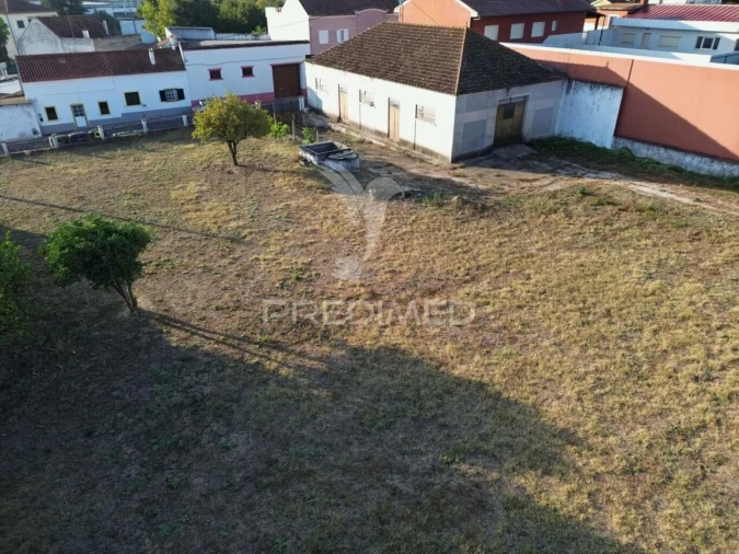 Armazém para Venda em Pernes Foto 6