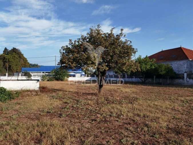 Armazém para Venda em Pernes Foto 30