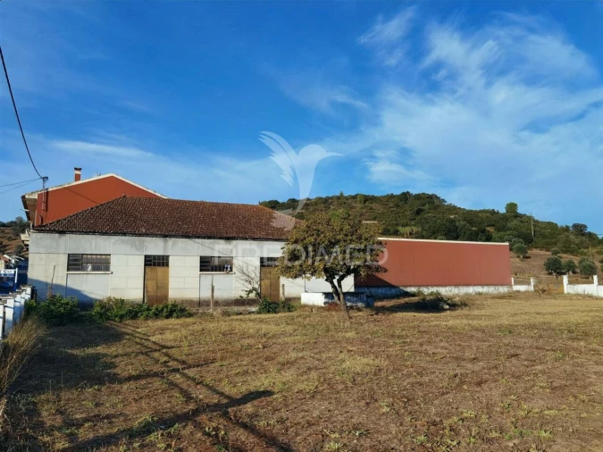 Armazém para Venda em Pernes Foto 29