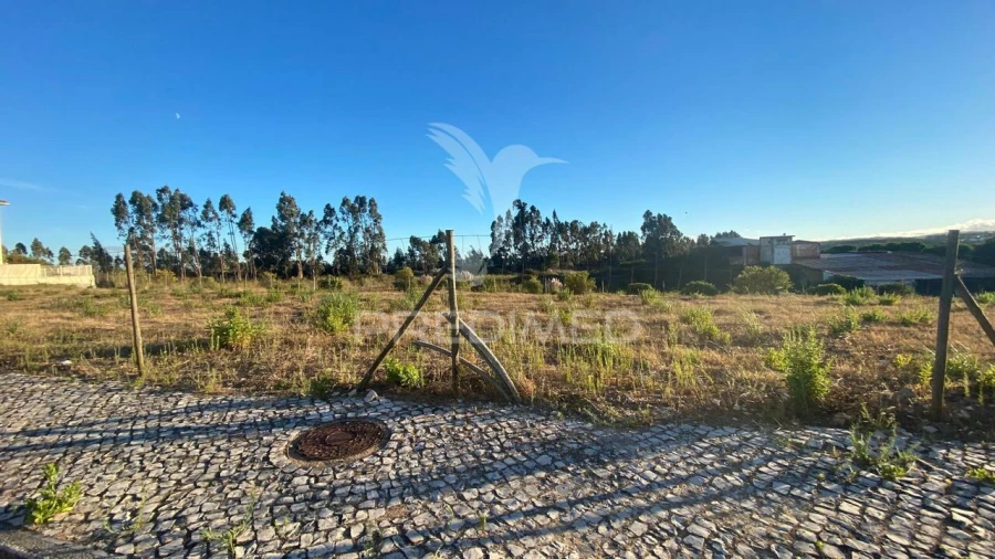 Terreno para Venda em Rio Maior Foto 4