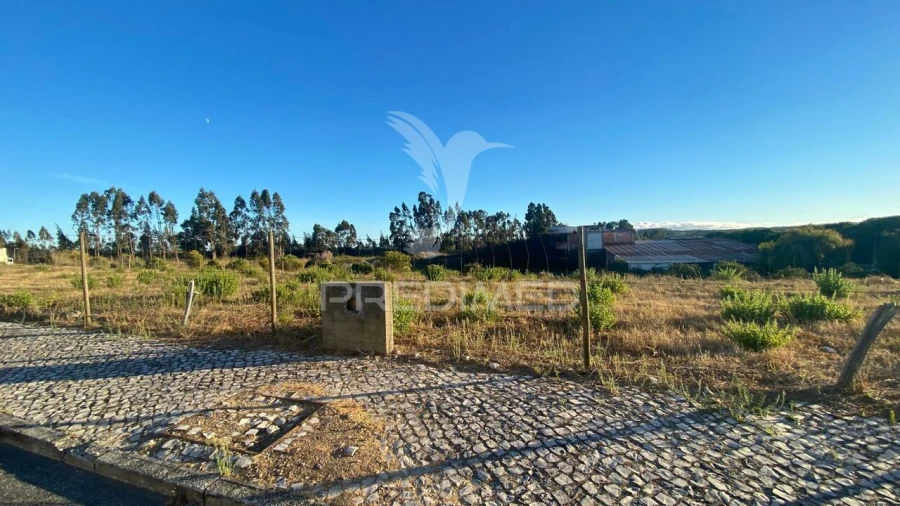 Terreno para Venda em Rio Maior Foto 3