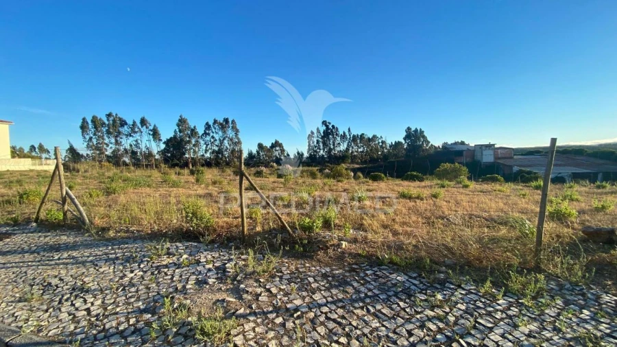 Terreno para Venda em Rio Maior Foto 2