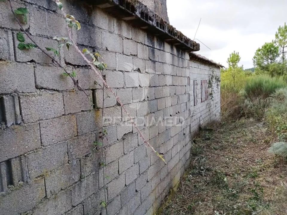 Terreno para Venda em Vila Chã Foto 7