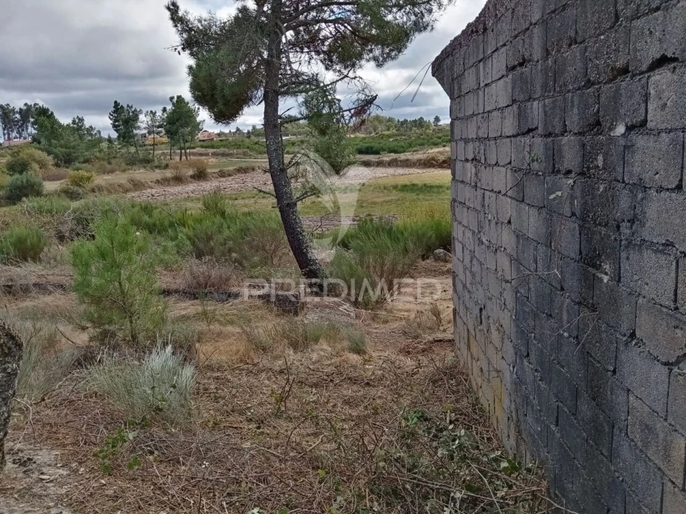 Terreno para Venda em Vila Chã Foto 8