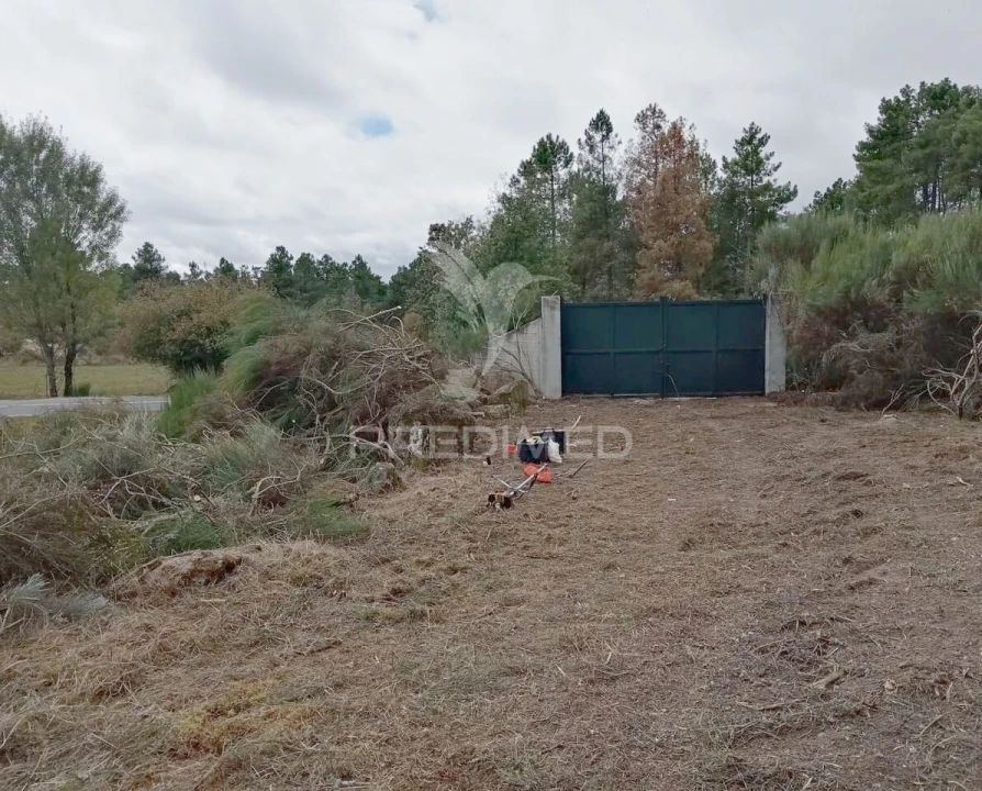 Terreno para Venda em Vila Chã Foto 22