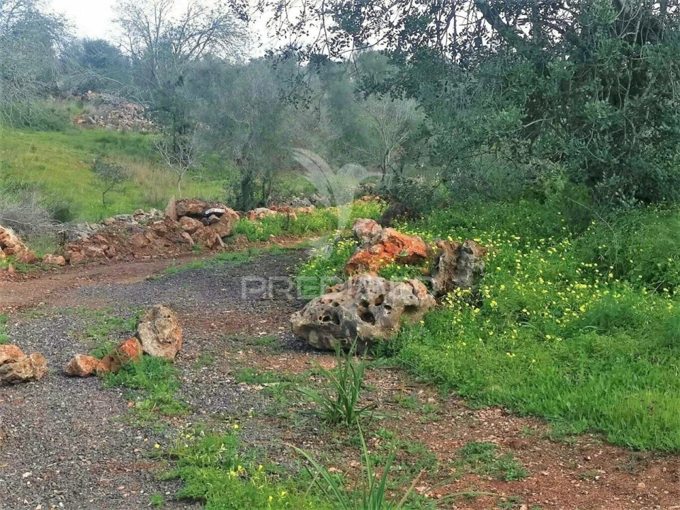 Terreno para Venda em São Bartolomeu de Messines Foto 7