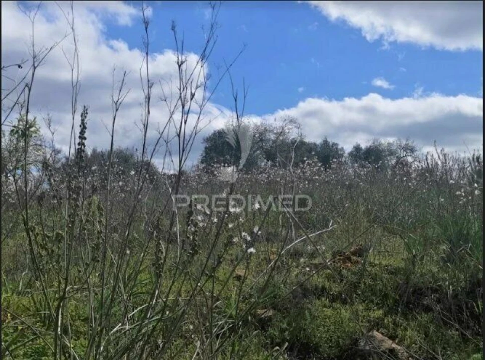 Terreno para Venda em São Bartolomeu de Messines Foto 4