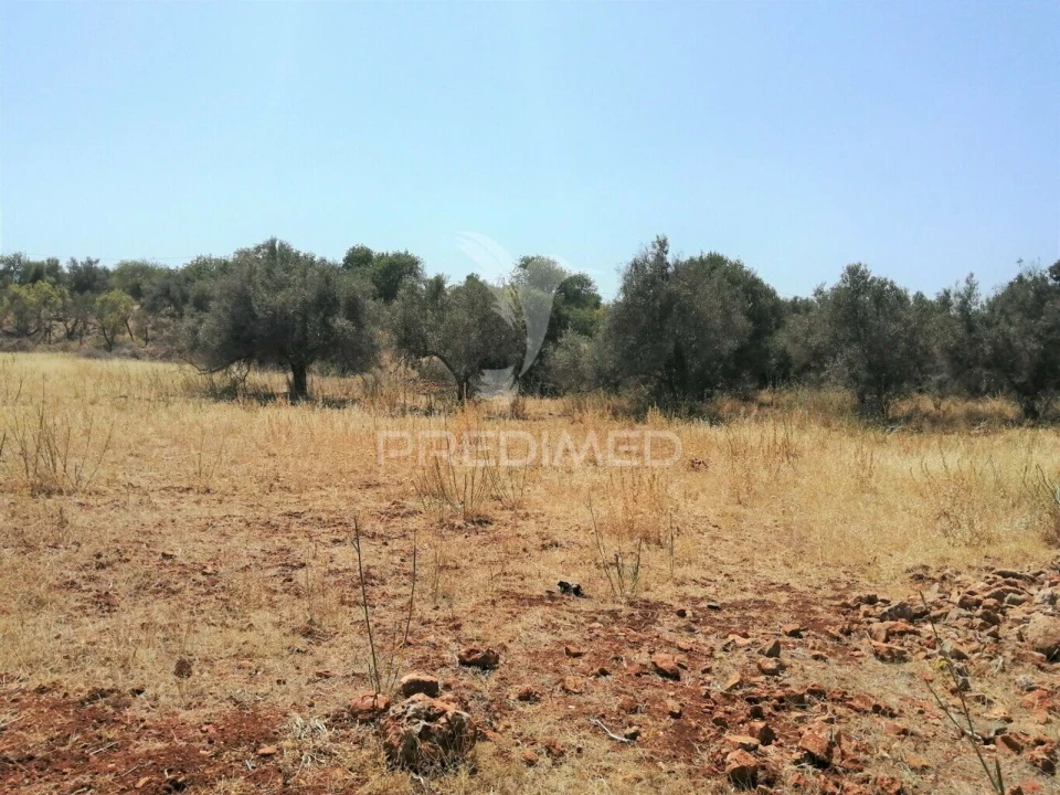 Terreno para Venda em São Bartolomeu de Messines Foto 18