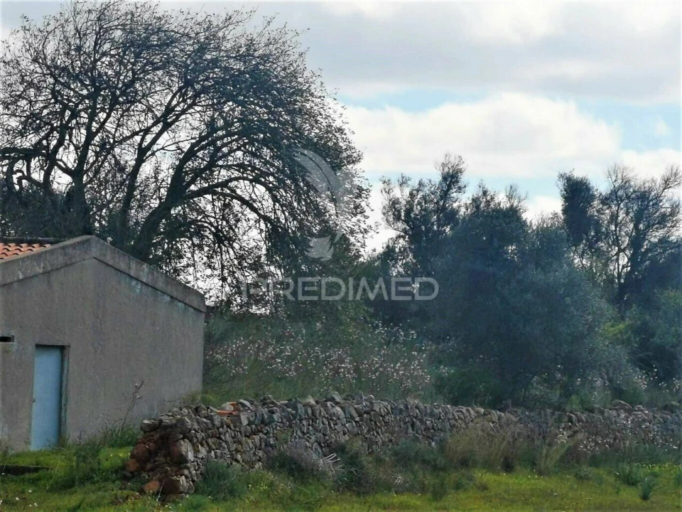 Terreno para Venda em São Bartolomeu de Messines Foto 1
