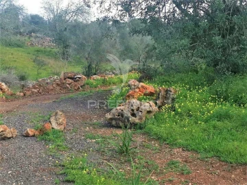 Terreno para Venda em São Bartolomeu de Messines