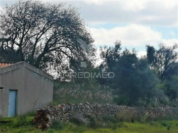 Terreno para Venda em São Bartolomeu de Messines