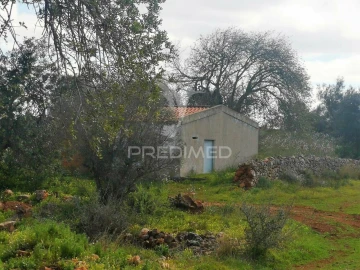 Terreno para Venda em São Bartolomeu de Messines
